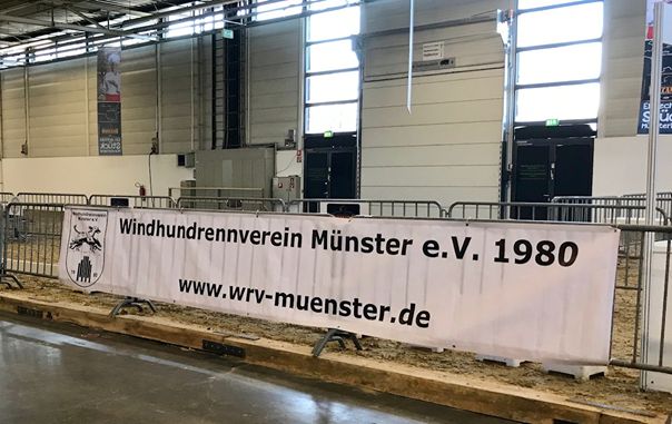 Rennbahn auf der Doglive 2019