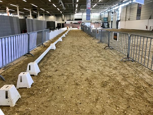 Rennbahn auf der Doglive 2019