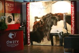 Infostand des DWZRV