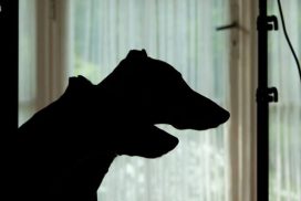 Kleine Randbemerkung mit Nebendarstellern