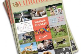 Unsere Windhunder Sonderausgabe Zucht