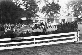 Lorischa an der Hürde