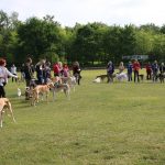 CP JAS 2018 Einmarsch