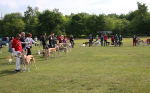 CP JAS 2018 Einmarsch