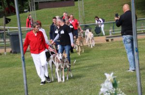 CP JAS 2018 Einmarsch