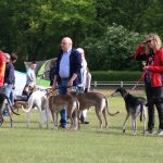 CP JAS 2018 Einmarsch