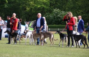 CP JAS 2018 Einmarsch