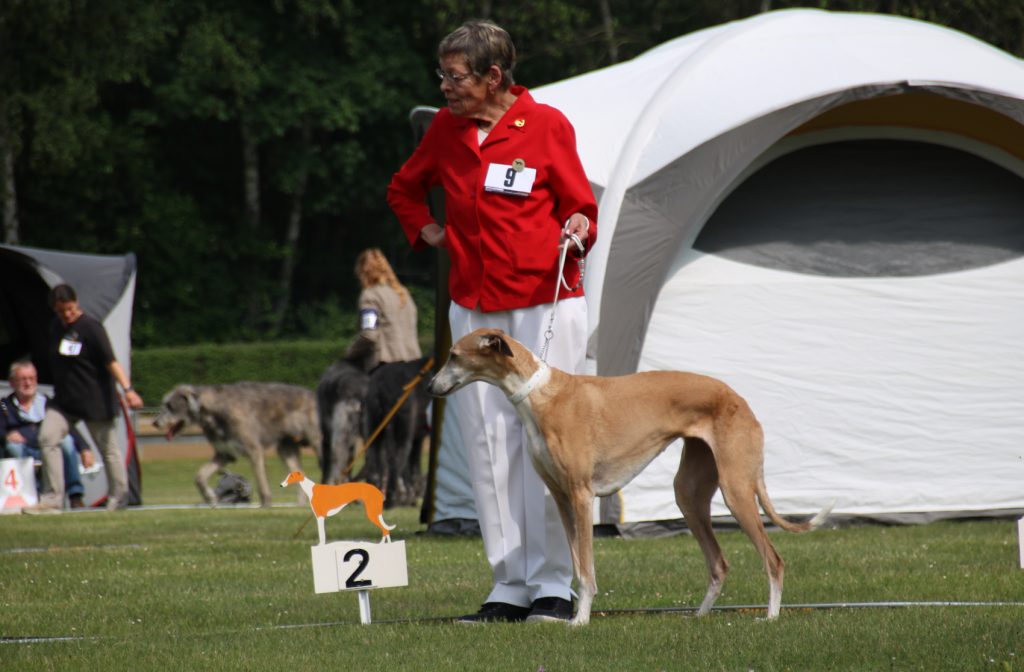 CP JAS 2018 Vet.2.Platz