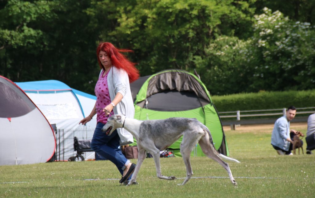 CP JAS 2018 Vet.Kl.3.Platz