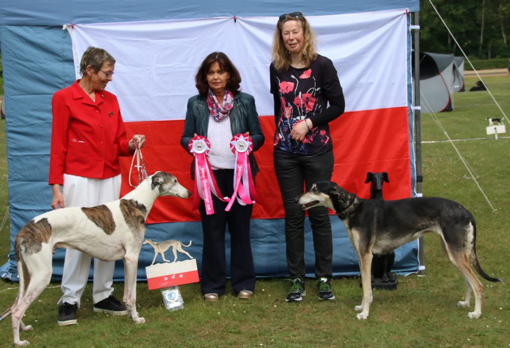 CP JAS 2018 Veteranen BOB BOS