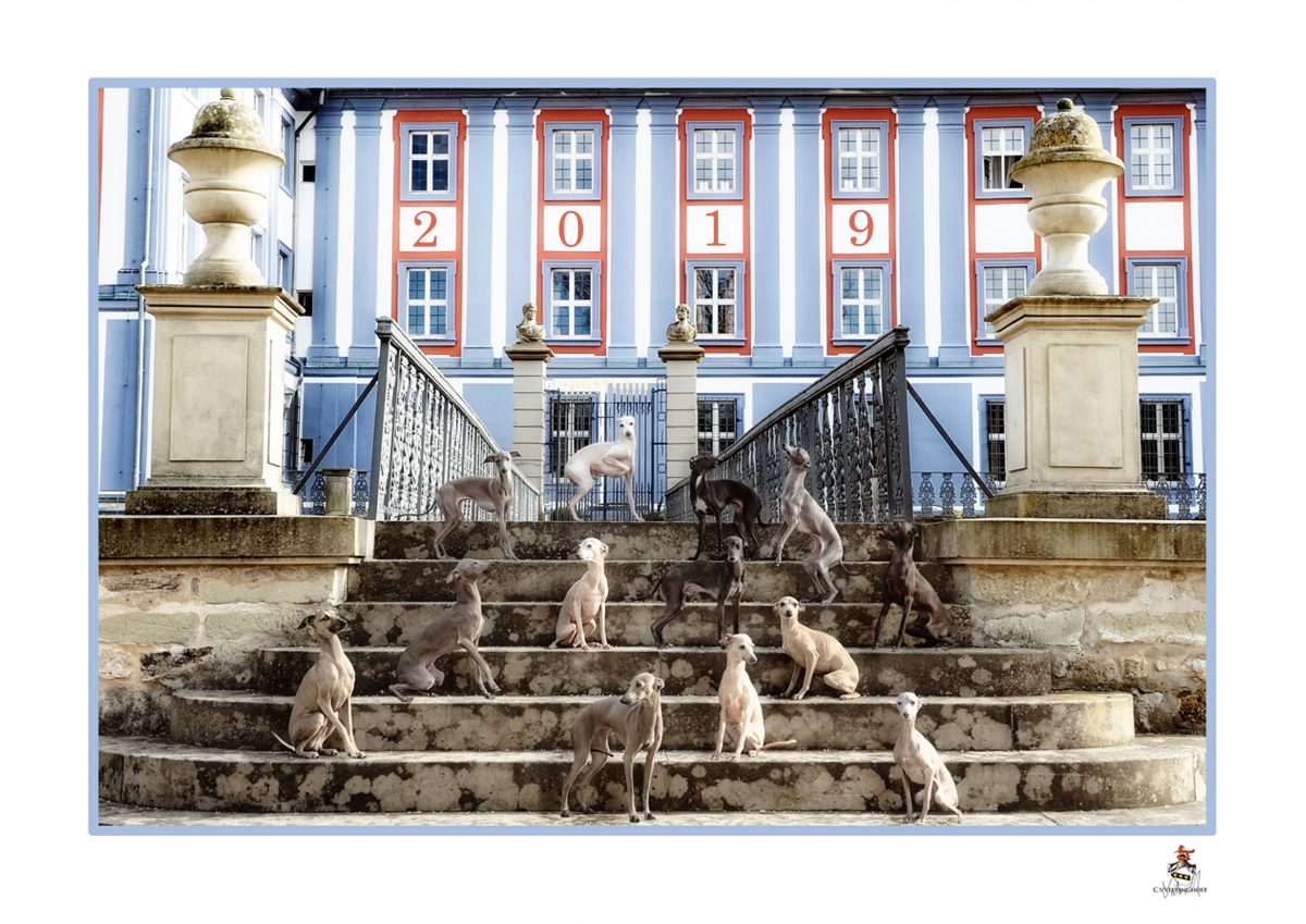 Italienische Windspiele in Sanssouci