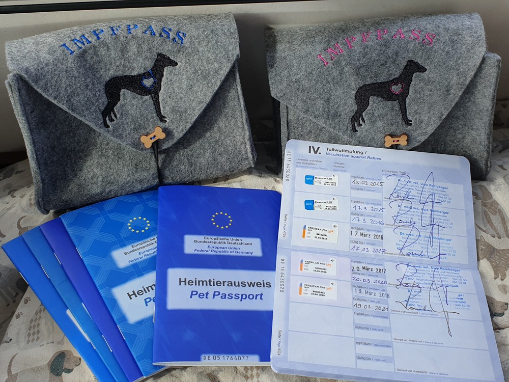 Wenn Hunde verreisen