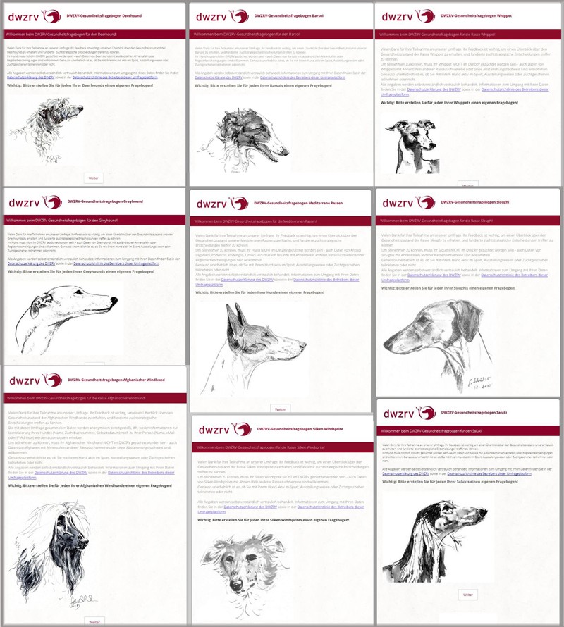 DWZRV Gesundheitsumfragen