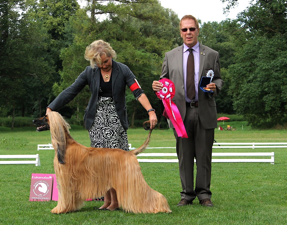 Wir trauern um Jean Brixhe, der am 20.06.2019 viel zu früh im Alter von